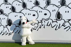 家族一緒にお家で楽しむスヌーピー「スヌーピーミュージアム・オンライン」開催中