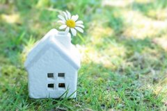 収入が少なくても幸福度が高い家庭の特徴とは？