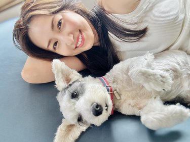 黄色を身につけた「イエロードッグ」は配慮が必要なサイン 有村実樹が語る繁殖引退犬の実態「外の世界を知らずに育った恐怖心へ理解を」