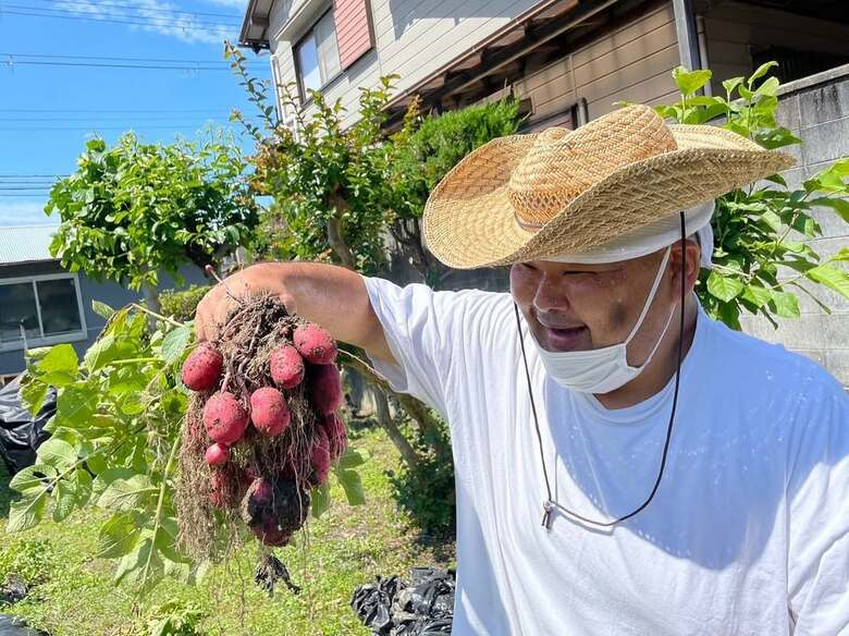 和歌山の畑で採れたイモに満足