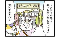 姑が浮気!? そして気づいた大事な存在とは