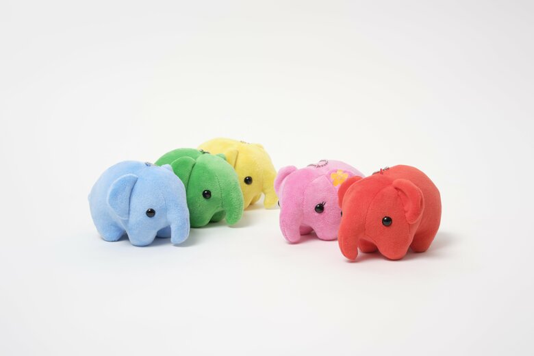 どむぞううくん（赤色）と仲間たち。ブルーの「どむクルーズ」くんの名づけ親は藤﨑社長