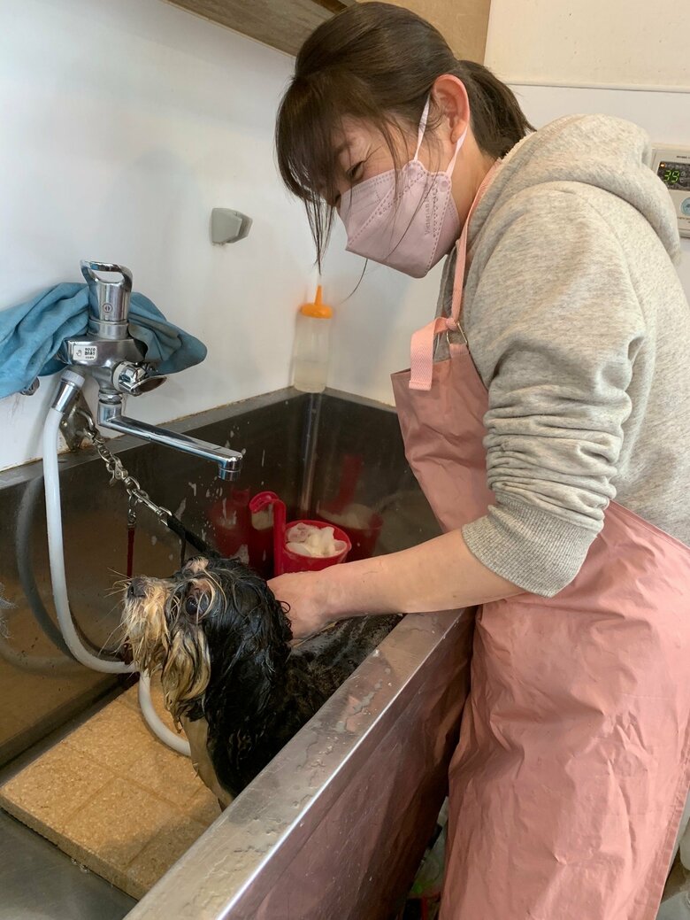 動物保護活動のため、トリマーの資格も取得