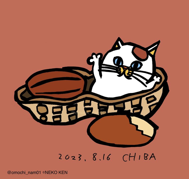 落花生の生産量が日本一の千葉県！！ 落花生ねこさんだよ～！！（なみそさんのXの投稿より）