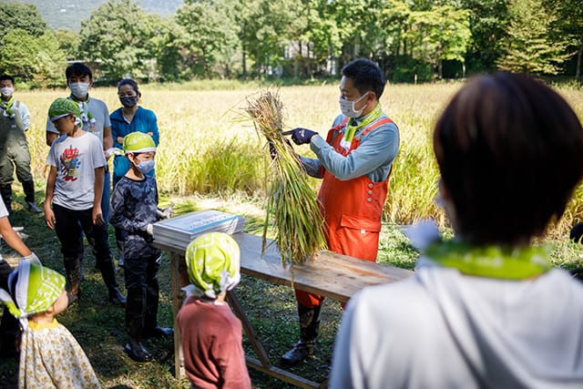 全5回の工程で種まきから稲刈りまでを体験できる「お米の学校」