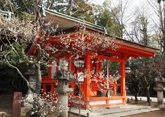 自由な週末をもらったから…一人旅行っちゃえ！