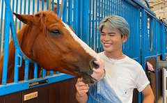 「深夜2時に馬のために駆けつけた」紗栄子が本気で牧場運営をする訳