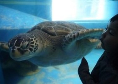 石川旅行体験記②やっぱり水族館は鉄板でした！