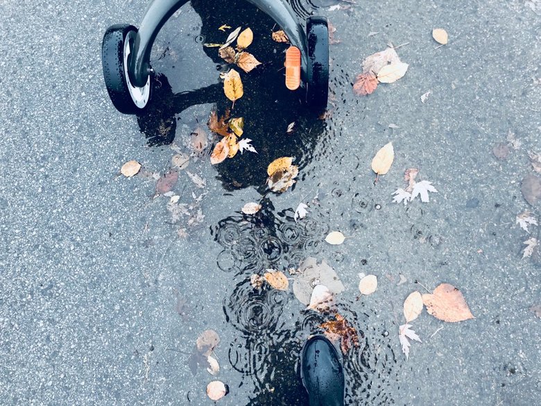 shutterstock_769280980