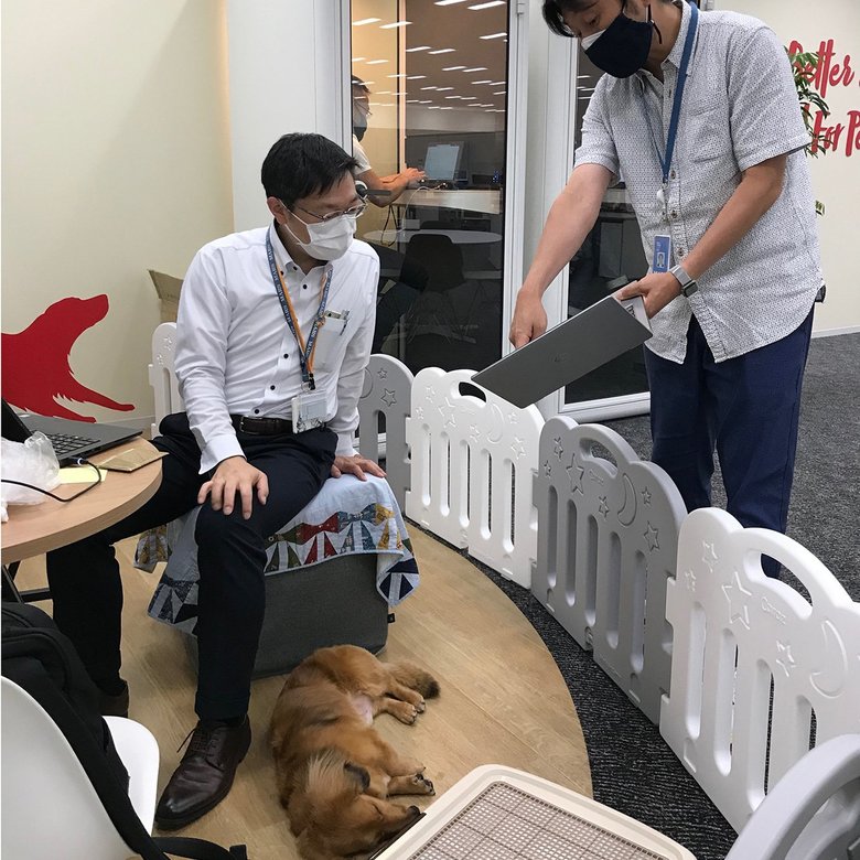 仕事中もペットの存在が当たり前になっているマースジャパンリミテッドのオフィス