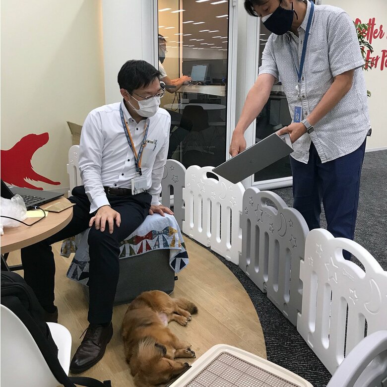 仕事中もペットがいることが当たり前の光景に