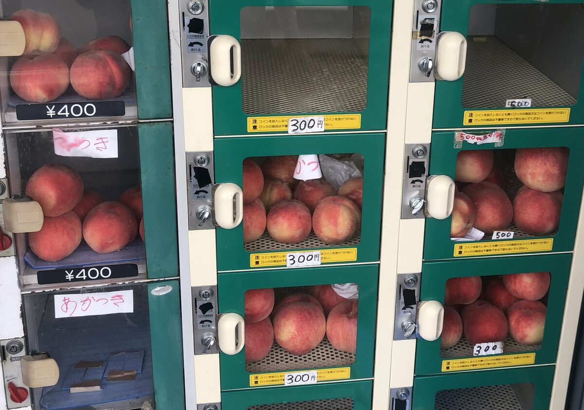 無人販売機朝市くん 農産物 野菜 自販機 販売機 農産物コイン販売機 朝市くん