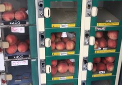 「近所にほしい！」桃愛が止まらない福島・桃自販機の実態「これは神」