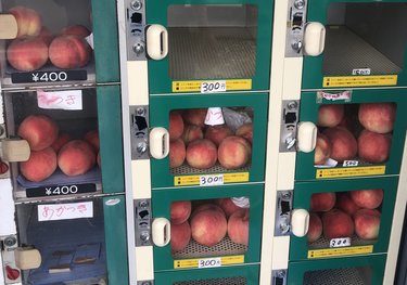 「近所にほしい！」桃愛が止まらない福島・桃自販機の実態「これは神」