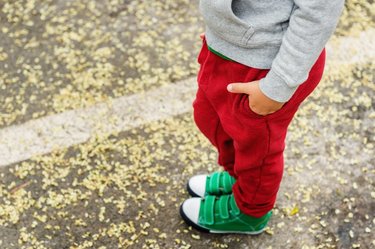 SNSで話題！5歳男児のポケットからよく出てくるものランキング