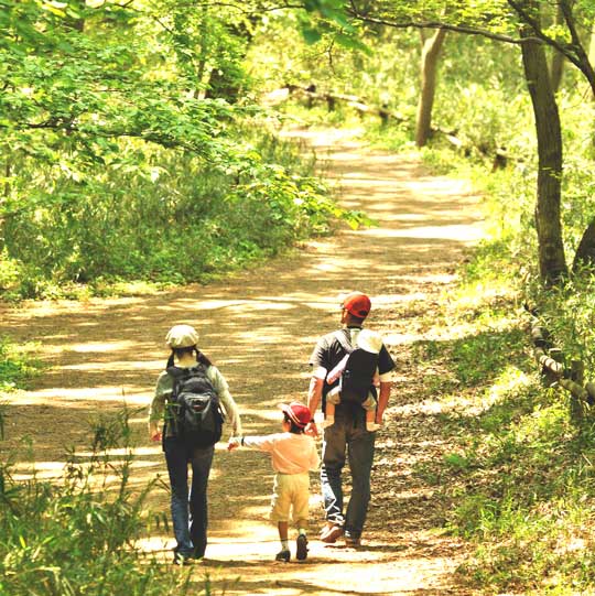 なだらかな尾根道を散策