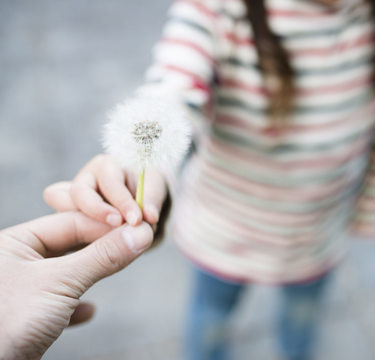 ダンゴムシを探して見せてくる…子どものマイブームに親はどう立ち向かう？