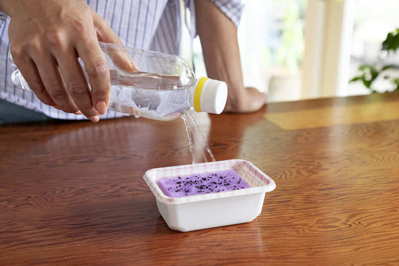 水耕栽培でバジルに水をやる方法