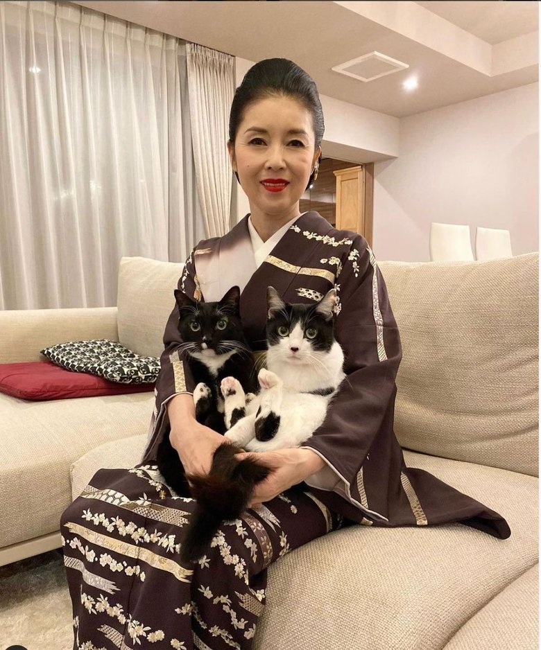 2匹の姉弟猫「マル」君と「オレオ」