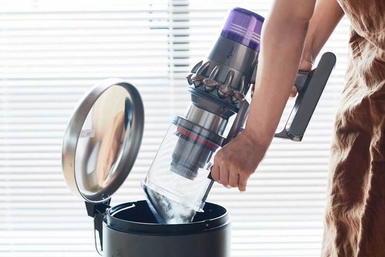 dyson201905-4_DSC7351-2