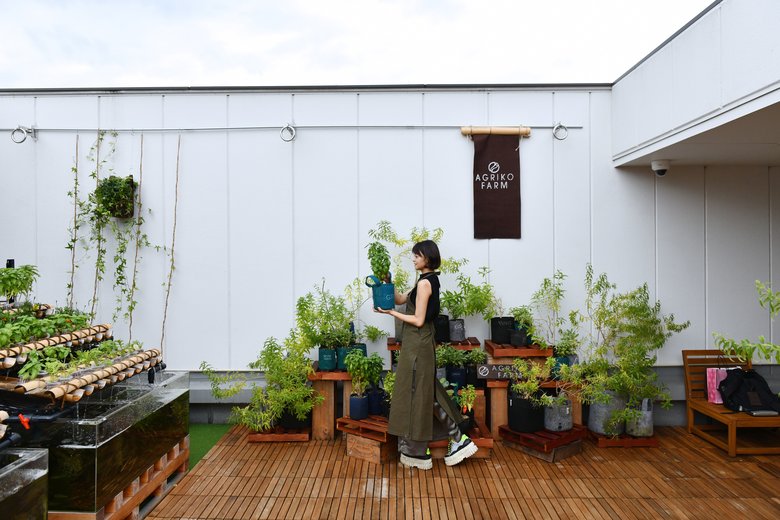 養殖と水耕栽培を行う農園は、癒やしの雰囲気でいっぱいだそう