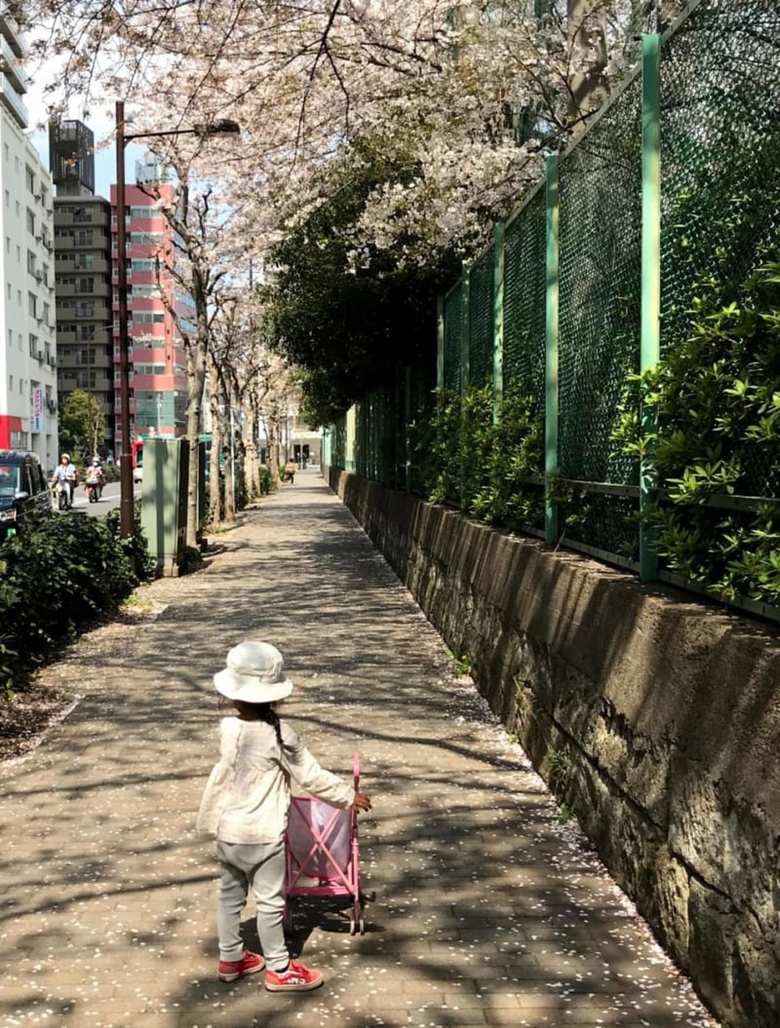事故現場近くの道で桜を眺める莉子ちゃん
