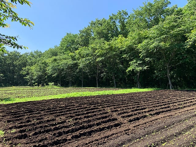 開墾後のリゾナーレ那須「アグリガーデン」