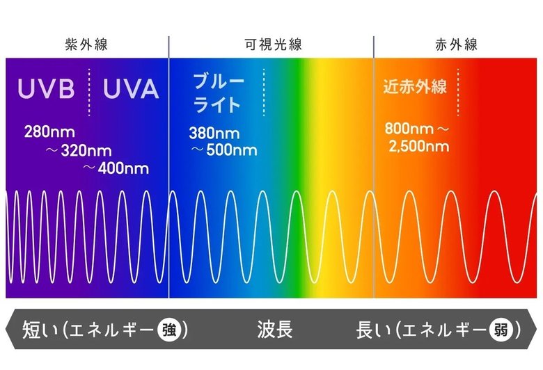 ブルーライトは、人や動物にとっては昼間の光