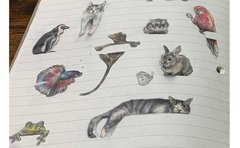 「RTの数だけ」で2万2千匹の動物を描き続ける作家「完成まであと十数年」