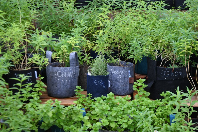 AGRIKOでは、農園で働く障がいのある方が不織布のプランターに文字などを書いた苗ポットも販売、収益の一部は障がいのあるスタッフにも還元されるそう