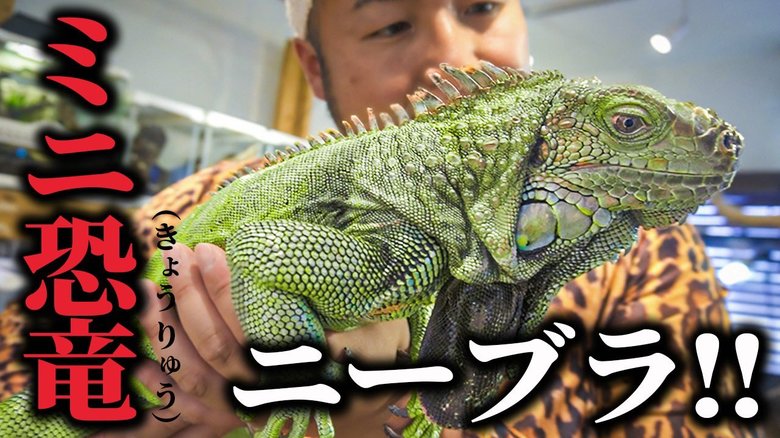 ときには相方・藤田さん以外にも「ニーブラ」を