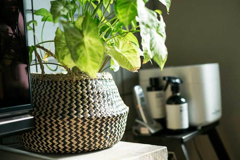 ▲バスケット　シェブロン（FLD）1,102 円（税抜）