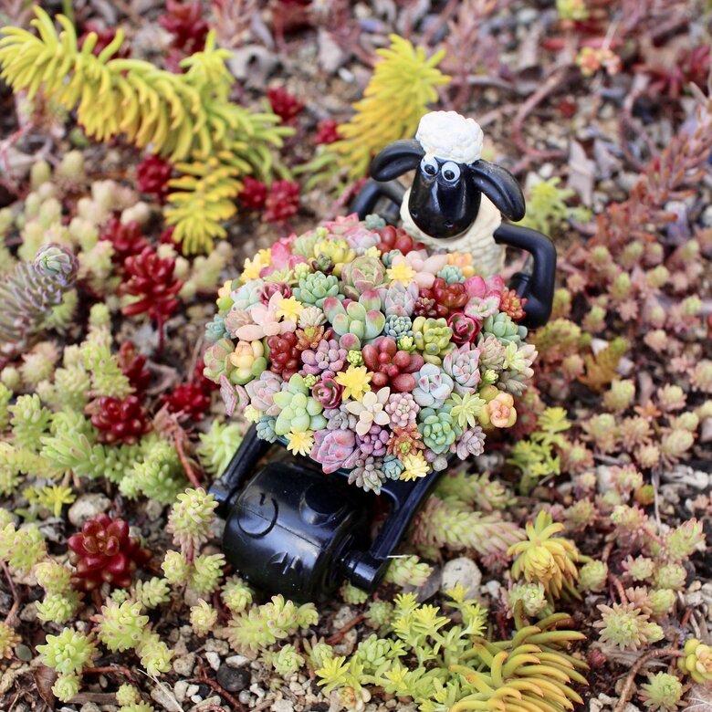 SNSでプチバズりした「ひつじのショーン」のおもちゃを使った作品（写真：MAiさんのInstagramより）