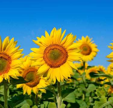 発狂しそう…地獄の夏休みを過ごすママに「＃主婦らの夏休み戦争」が役立つ