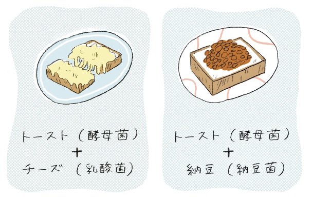 食べ合わせ_酵母菌イラスト