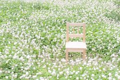 非婚化の時代に、続々登場おひとりさま向けの商品やサービス