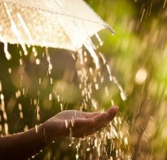 気象予報士のレジェンド森田さんがズバリ！ 今夏の異常気象の原因を解く