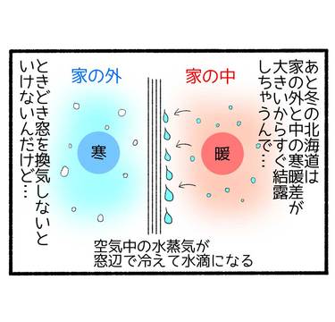 新生活が始まった裏で…9「なんでこの家びしょびしょなの!?」