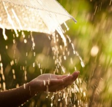 気象予報士のレジェンド森田さんがズバリ！ 今夏の異常気象の原因を解く