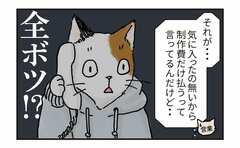 ねえ…「こだわりはないので、お任せしますよ」っていうあの言葉、嘘だったの…？
