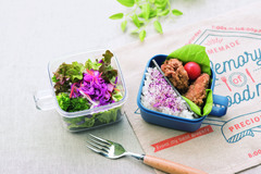 お弁当箱｜サラダも詰められる女性向け４選