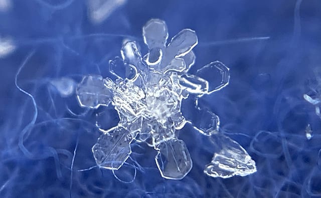 雪の結晶／佐々木さん提供