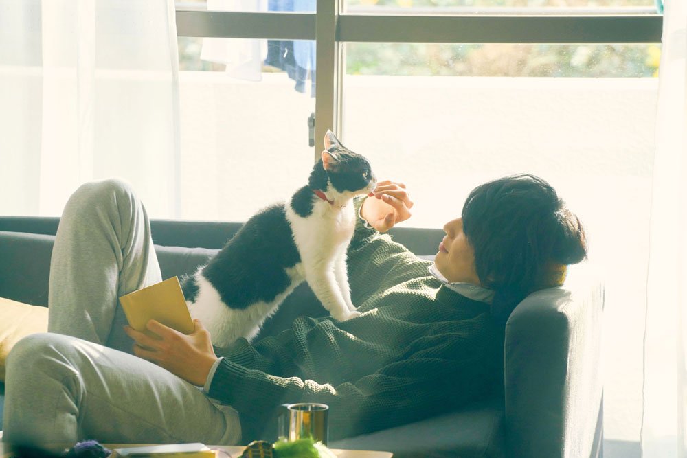サブ1_「旅猫リポート」