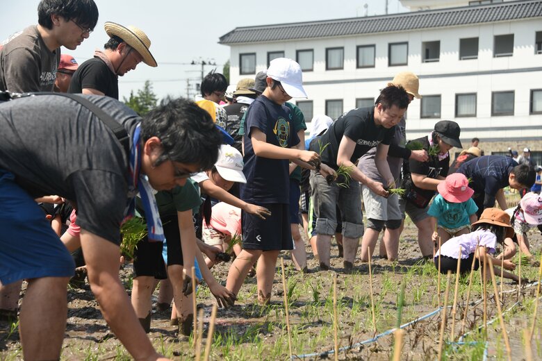 田植え体験ツアーの様子