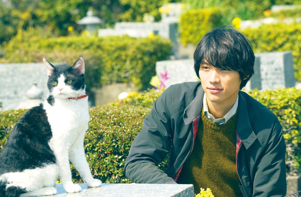 サブ6_「旅猫リポート」