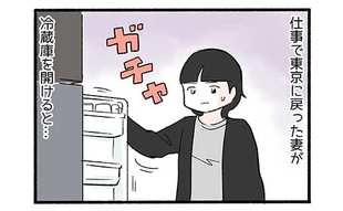 帰省した我が家の悲劇1「ヤシマ作戦の失敗」