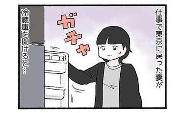 帰省した我が家の悲劇1「ヤシマ作戦の失敗」