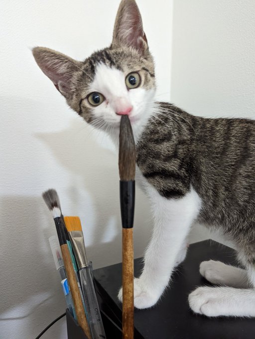 においが気になる～と思ったら、スポ。「入っちゃった！」