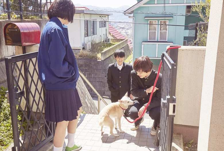 ©西加奈子/小学館　©2020「さくら」製作委員会