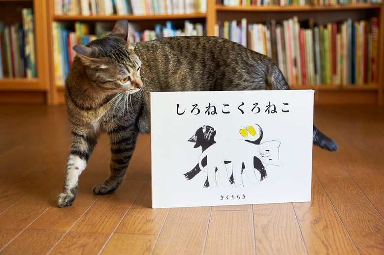 絵本『しろねこくろねこ』と猫